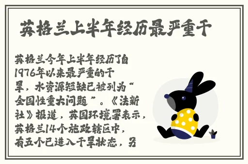 中国高清WINDOWS在线
